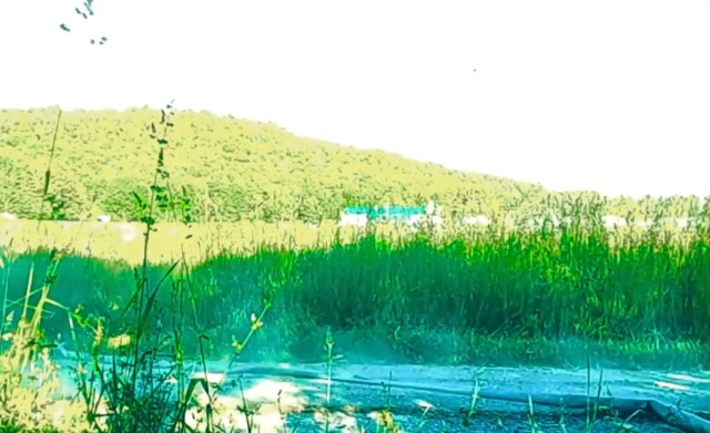 The OP stated that they believed this occurred because the neighbor was angry about a property dispute over 10 years prior.