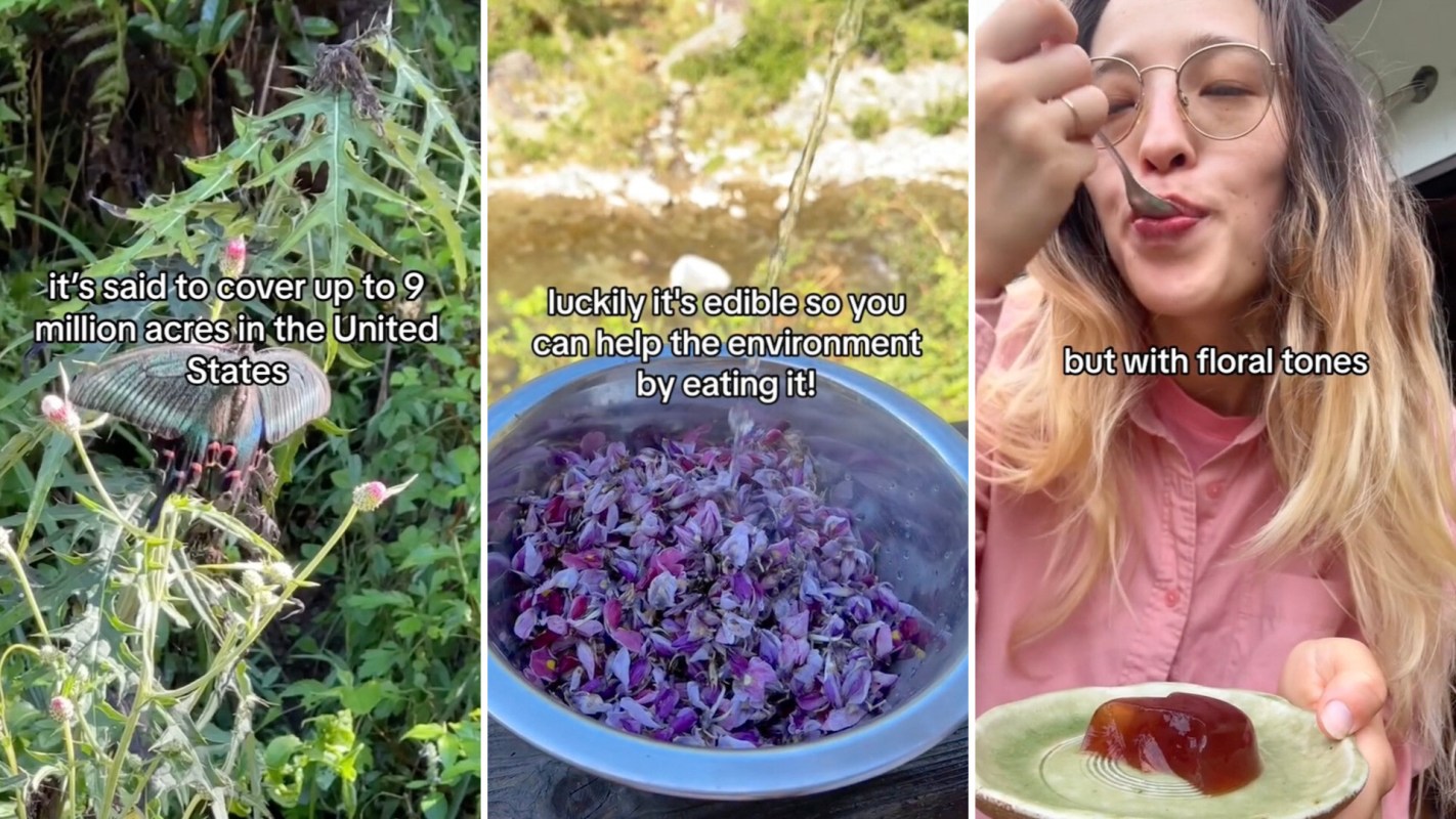 "Always do your own extensive research."