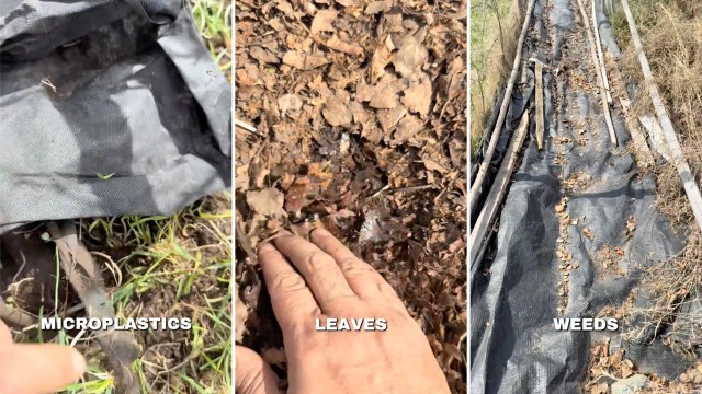 It not only drains your wallet, but it also wastes your time and effort.