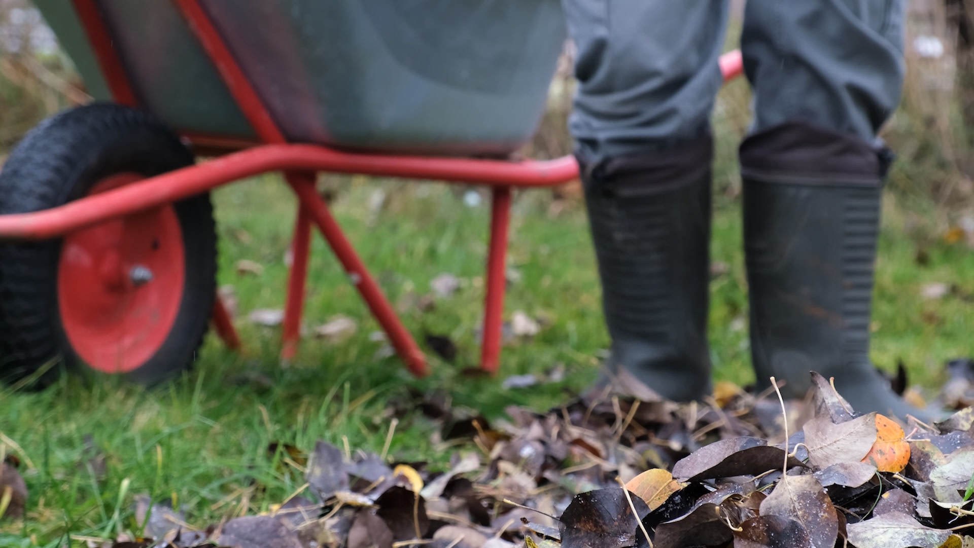 Gardening expert speaks out on major flaws of commonly used product: 'A hill I would die on'