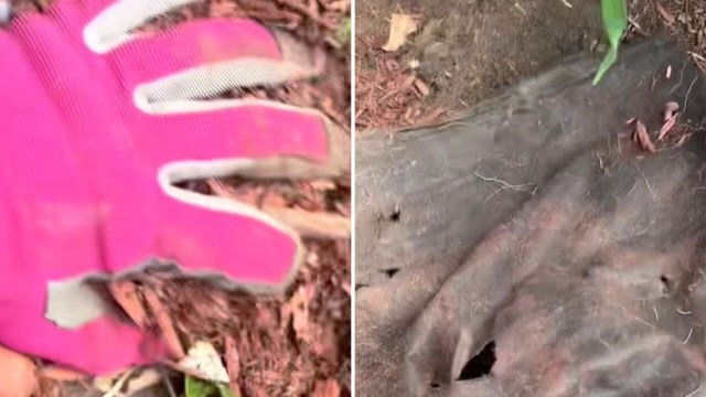 As they say, you live and you learn.