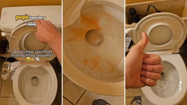 "Congratulations. You just saved yourself 250 bucks."