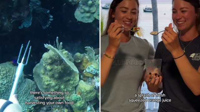 "Marine invaders are nearly impossible to eradicate once established."