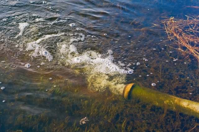 Though still in the research phase, this discovery could mark a major leap forward.