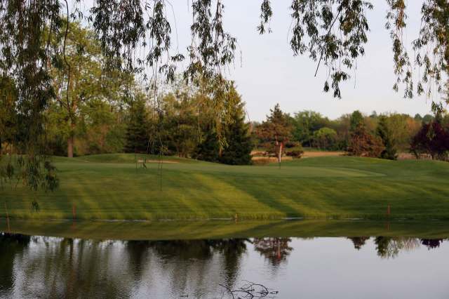 "Its sting causes painful, and in some cases severe, reactions in both humans and animals."