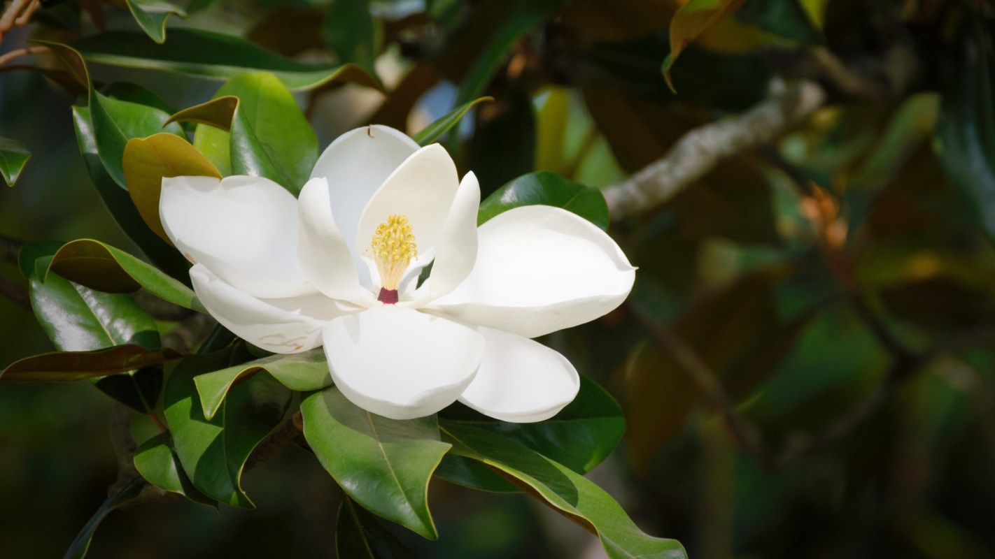 "I love how they roll around in the fallen parts."