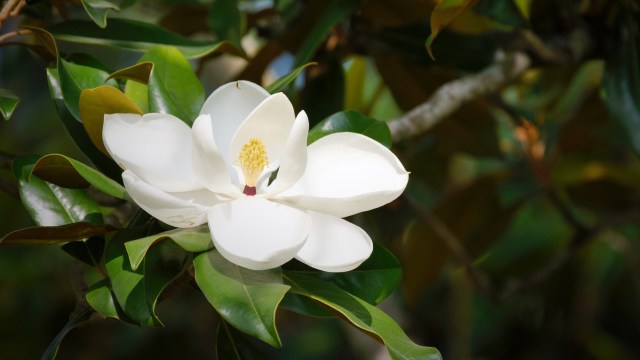 "I love how they roll around in the fallen parts."