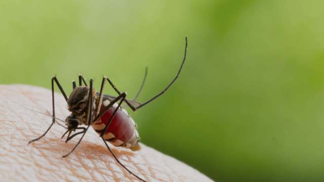 The innovative findings leave researchers hopeful.