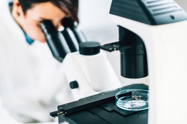 "We don't fully understand where the hotspots of accumulation are likely to be."