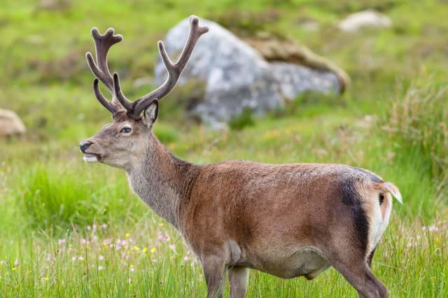 Experts say that many unknowns remain.