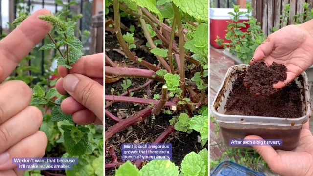 "Thanks for sharing!"