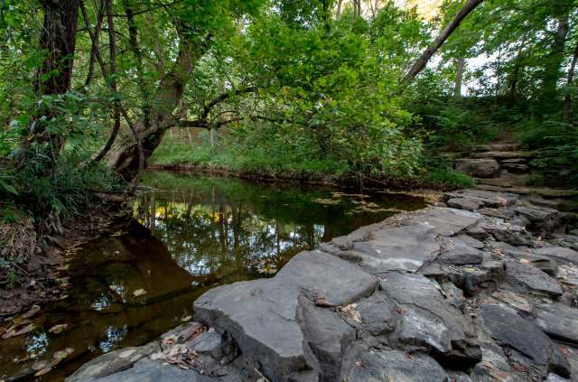 "This is a good thing!"