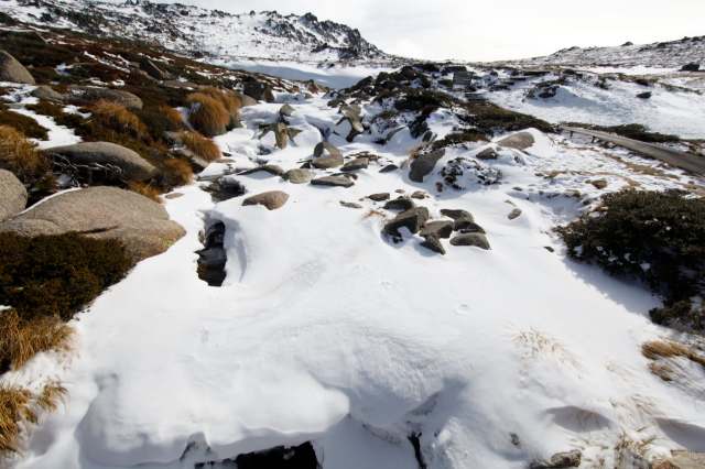 "They're close to my heart."