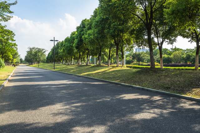 TikTokers were in full agreement in the comment section.