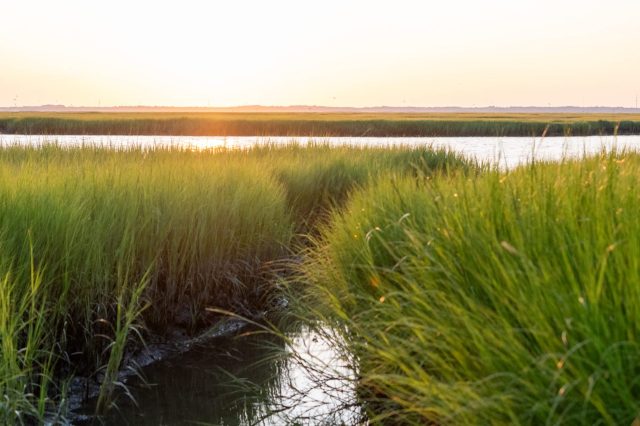 "Certainly looking brighter than it was."