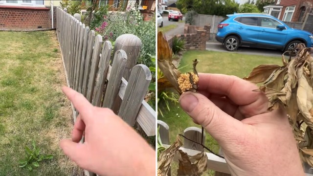 "You have a case to pursue her for damages."