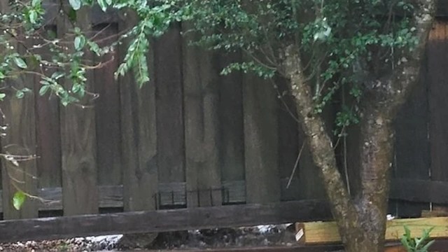 "More than willing to put in labor, but I just bought this house and don't have a ton of money."