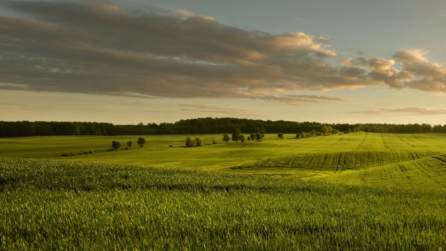 We may not be able to stop declining bee populations overnight, but there are ways we can combat the issue.