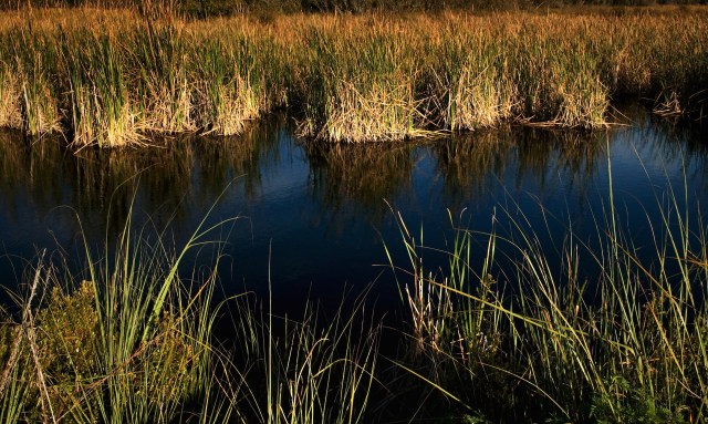 "There seems to be a different, more complicated story."