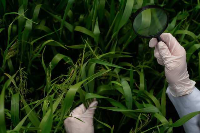 "We are beginning a new chapter."