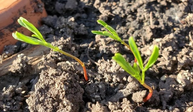 "This is really cool."