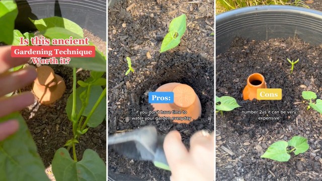 "Definitely recommend."