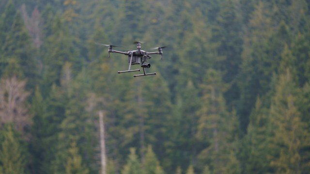 "It's a game-changer."