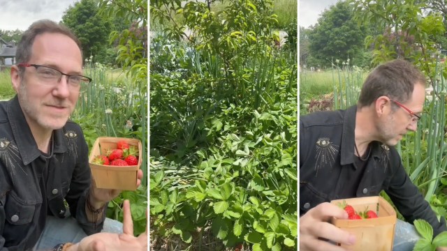 Others were keen to begin planting their strawberry plants.
