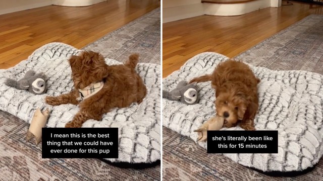 Commenters on the post were overwhelmingly positive and appreciative of the tip.