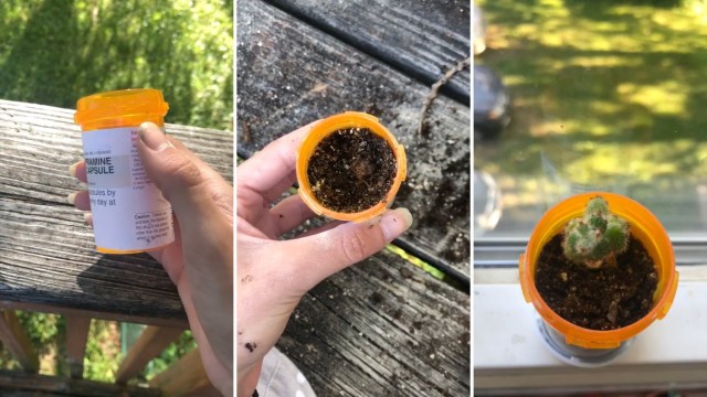 "Less waste and low key cute."