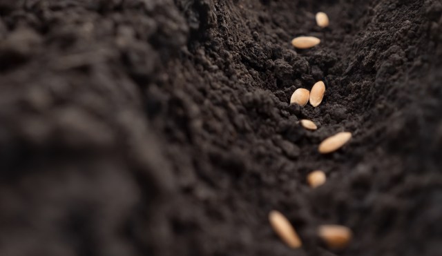 "Very simple, don't overthink it."