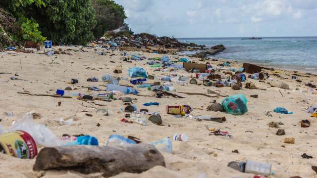 "Everyone has a role to play."