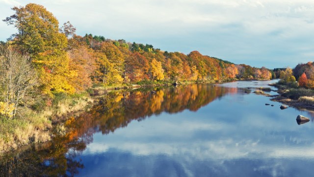 "Those habitats are changing."