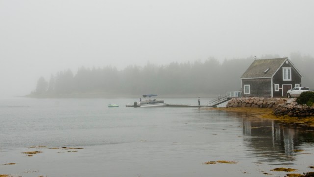 This species has spread to at least 13 American states.