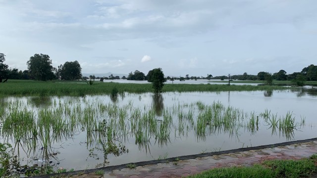 "The sudden rain caught us off guard."