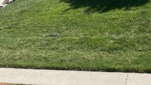 Unfortunately, dealing with difficult neighbors and their habits can be challenging.