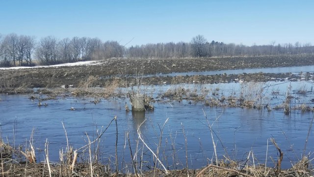 "People get named for less."