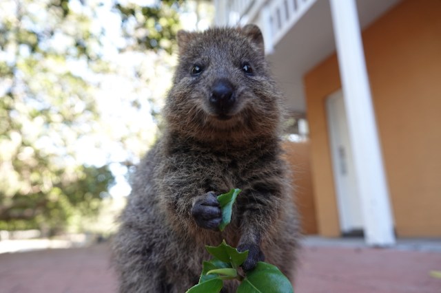 "They lead a pretty easygoing life."