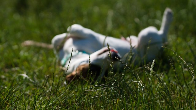 It's a growing problem.