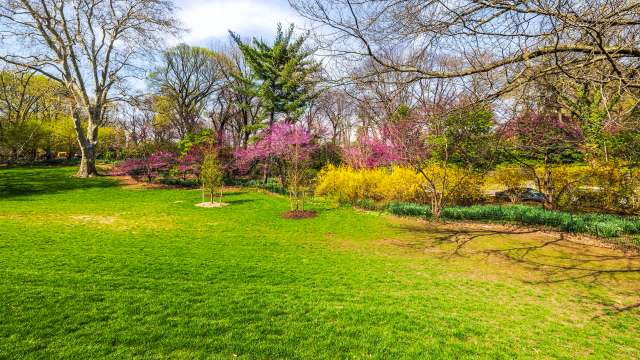 "Our team peeled back the turf."