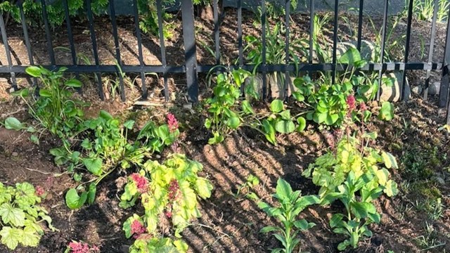 Homeowners can save both time and money.