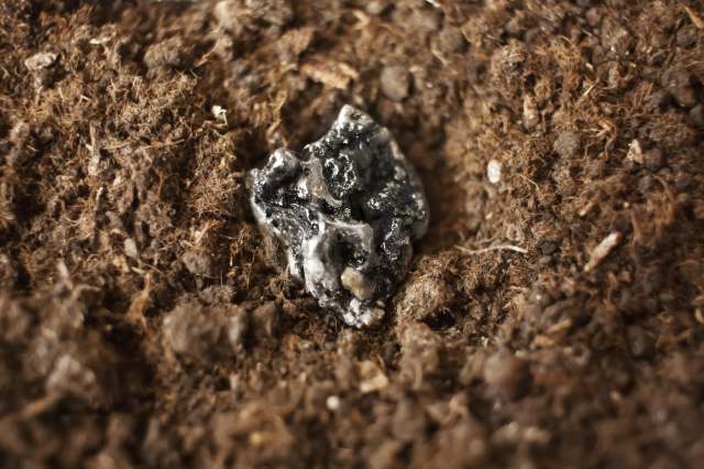 "China will still be in a position of dominance."