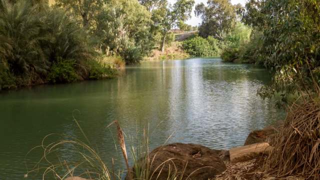 There is restorative work underway.