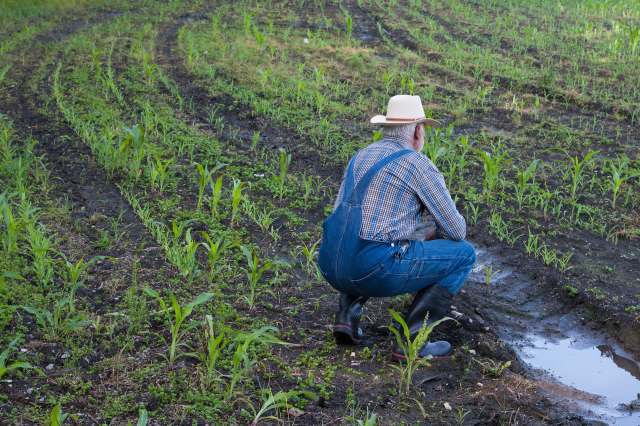 "We had lots of rain in 1976, but this is the worst rain since then."