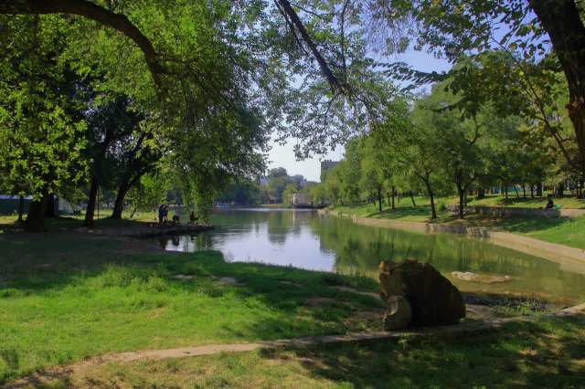 The story highlights the crucial work of local community action to address the issue.