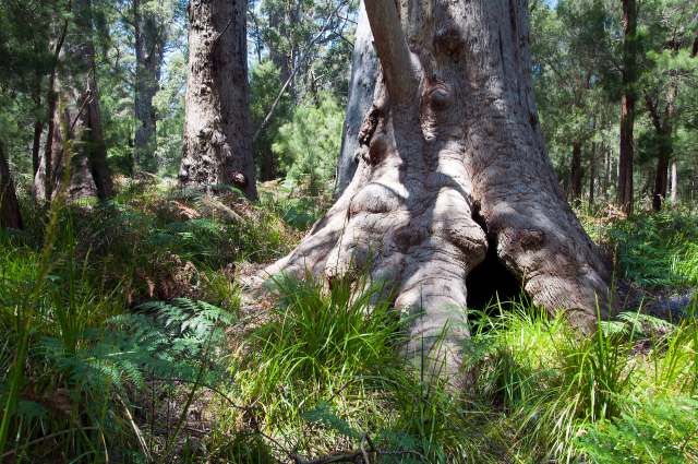 "A culmination of years of dedicated work."