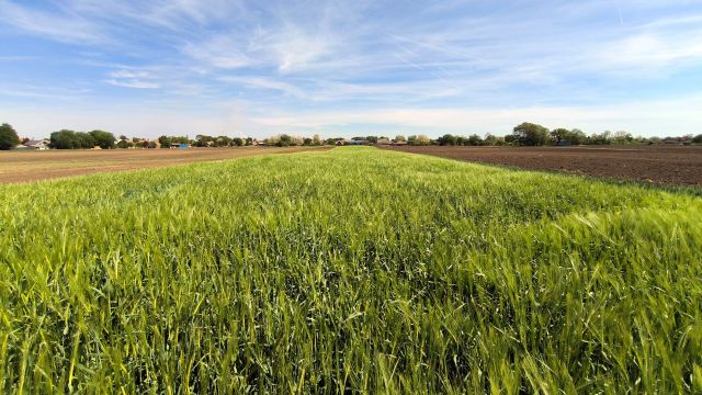 "If we're going to hold on to farmland, we need a significant change in how we farm and what we farm."