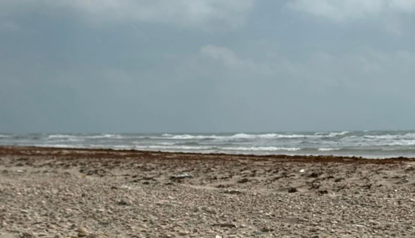 "Only volunteers have been trying to clean things up."