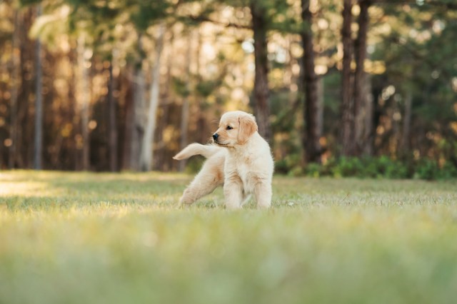 "They shouldn't be allowed to sell it in the first place."