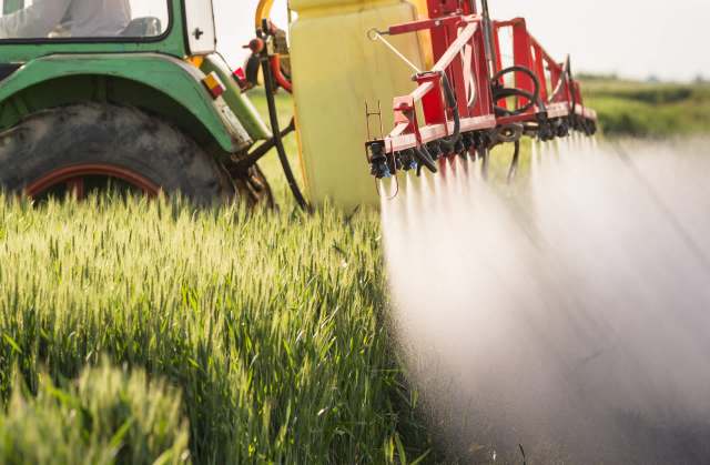 "This issue should and could have been sorted out years ago."